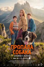 Пропала собака Пропала собака