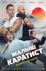 Малыш-каратист Малыш-каратист