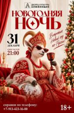 Новогодняя ночь в ДК Алюминщик Новогодняя ночь в ДК Алюминщик